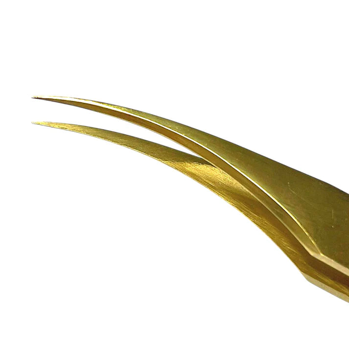 Pinça de Isolamento P10